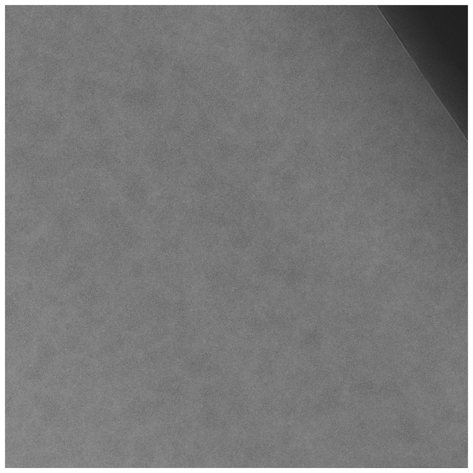 Yeast lamella micrograph
